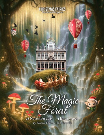 Christmas Fairies 2025